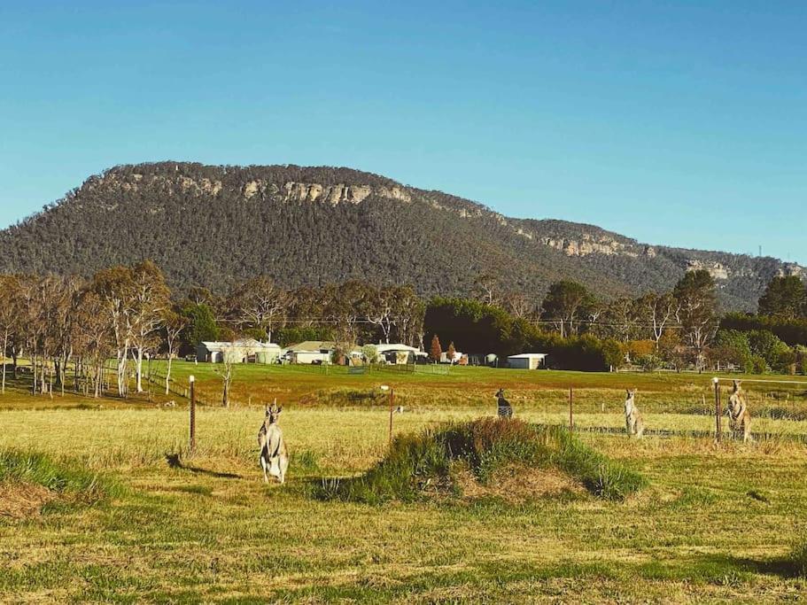 The York Residence In Hartley Nsw - Newly Listed Exteriör bild