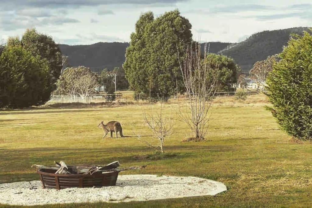 The York Residence In Hartley Nsw - Newly Listed Exteriör bild